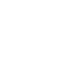 TikTok Logo